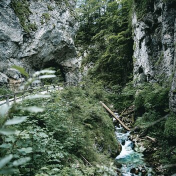 Johnsbacher Klamm I Nationalpark Gesäuse | © TV Gesäuse | Thomas Sattler