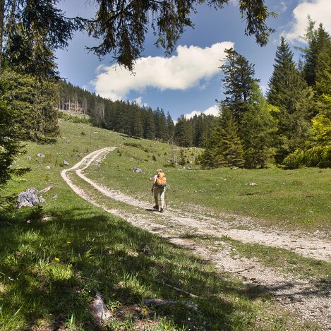 Sieben Elemente Weg_©WEGES |  