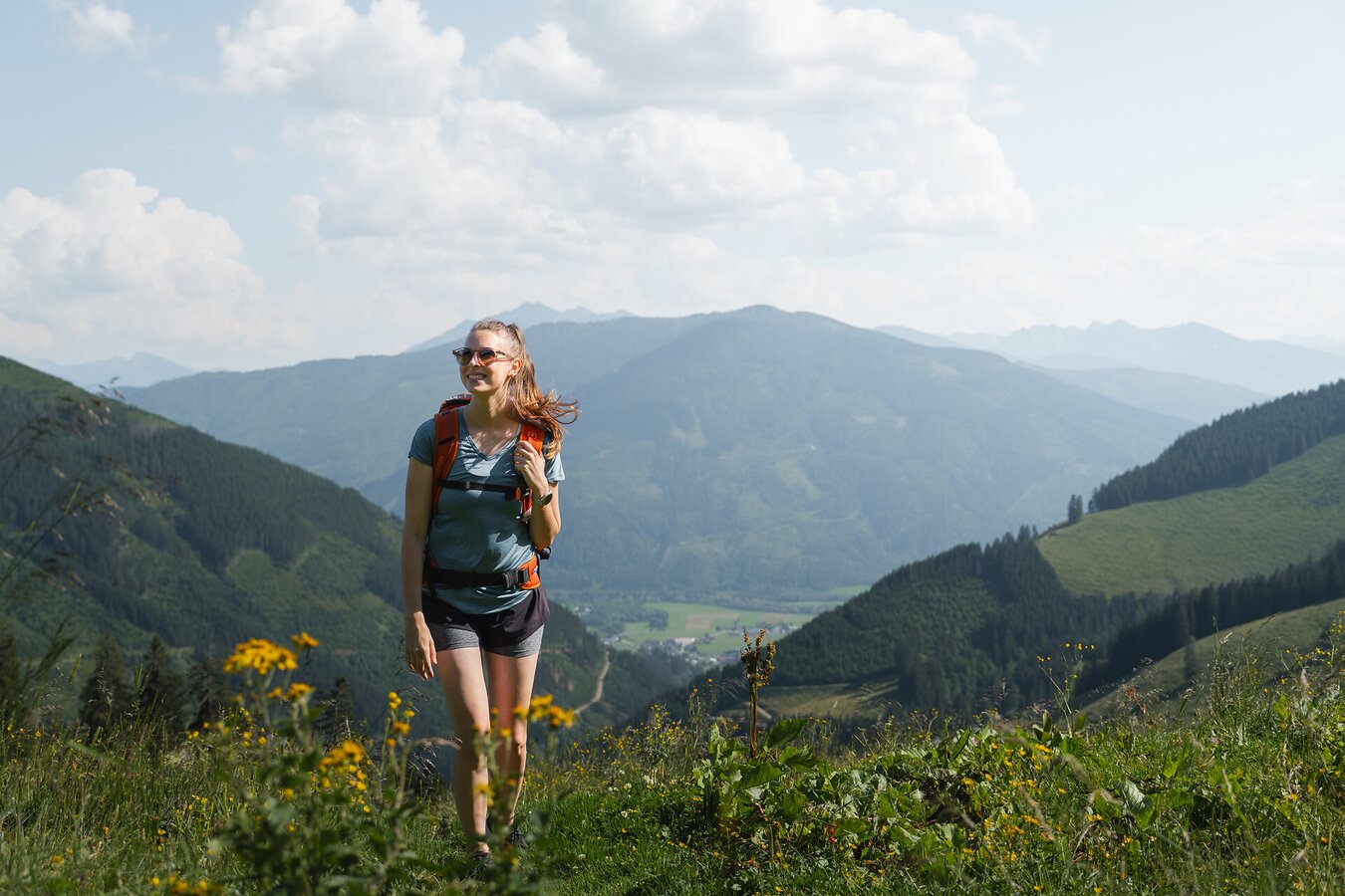 Wanderin in der sommerlichen Bergwelt der Ardningalm
