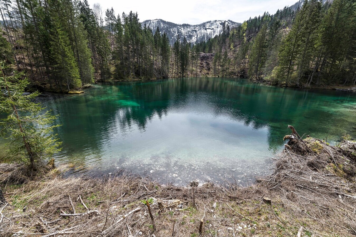 Hartlsee Wildalpen 