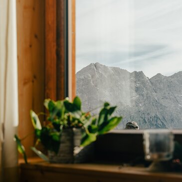 Blick aus dem Buchsteinhaus