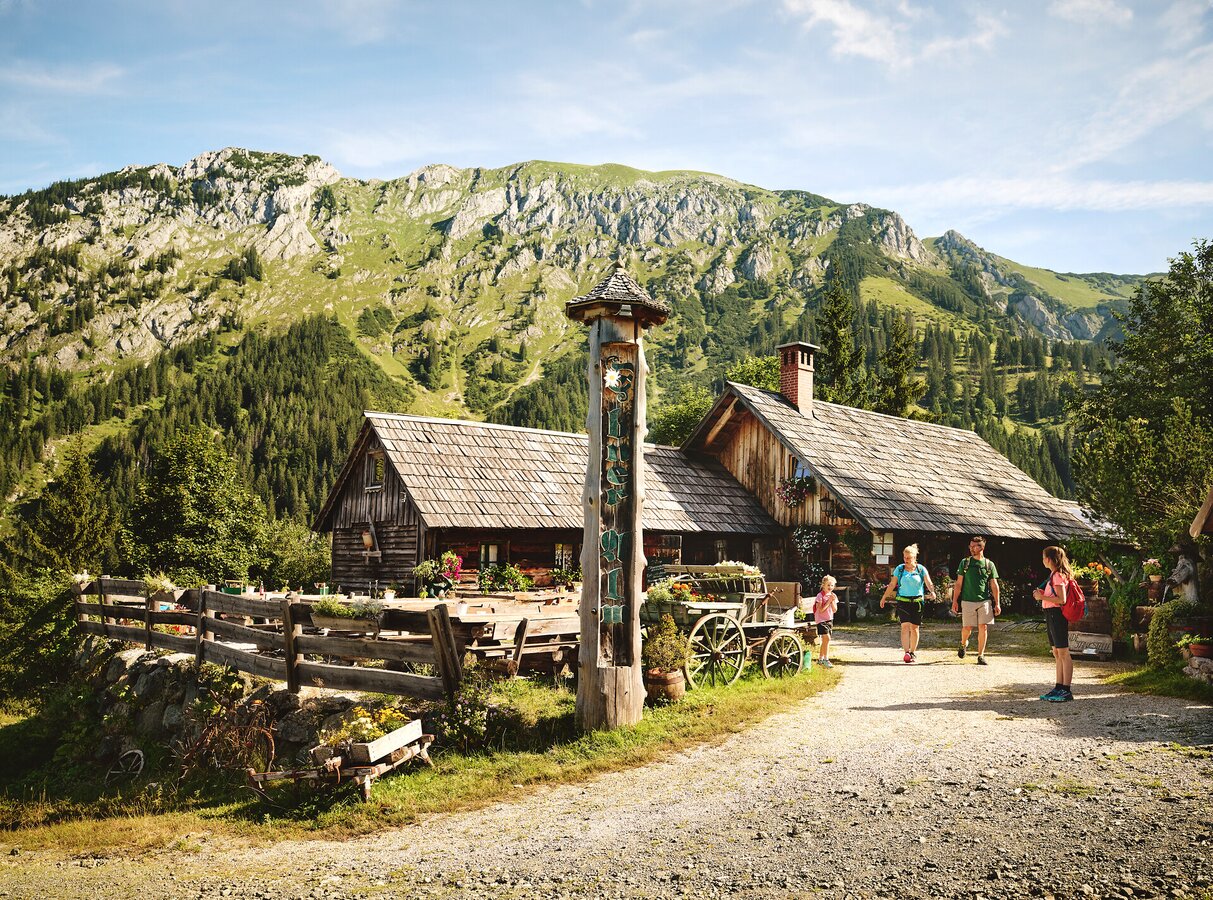 Ebneralm im Gesäuse