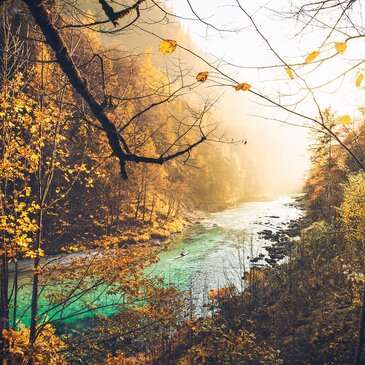 Herbst an der Salza I Gesäuse