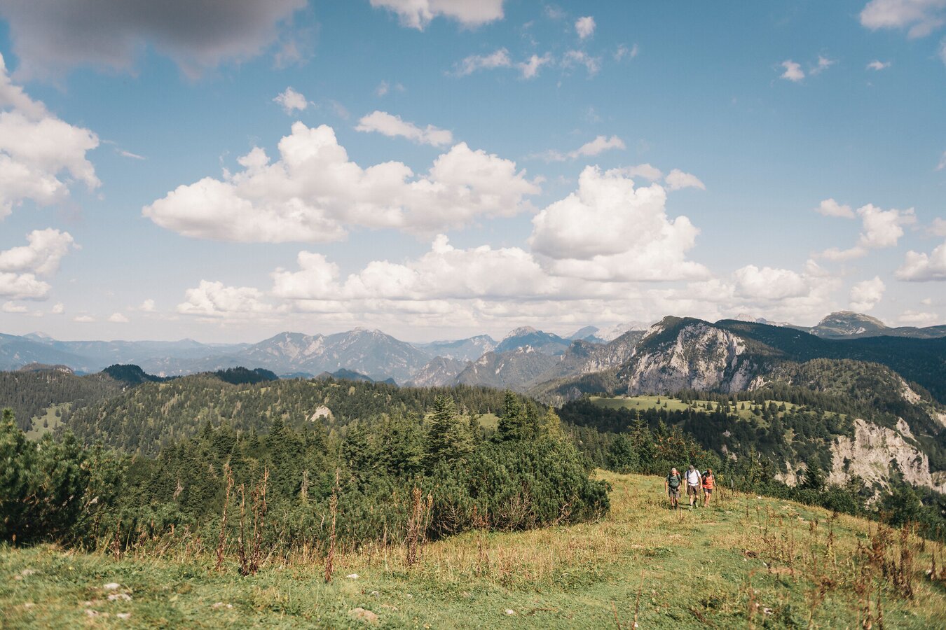 Wandern in Wildalpen I Gesäuse