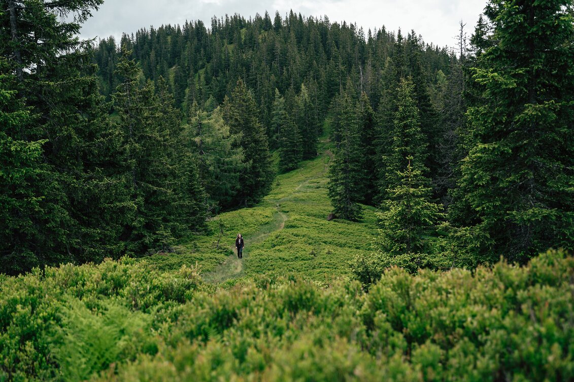 Luchs Trail I Gesäuse  | © ARGE Luchs Trail | Max Mauthner