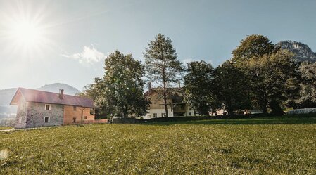 © thomassattler.at