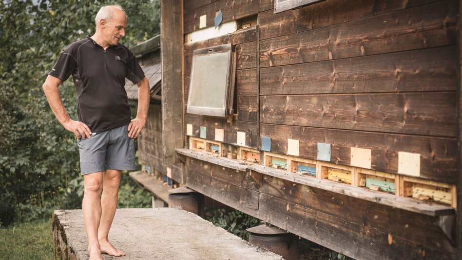 Holiday with beekeeper Hans Weissensteiner I Gesäuse | © Stefan Leitner