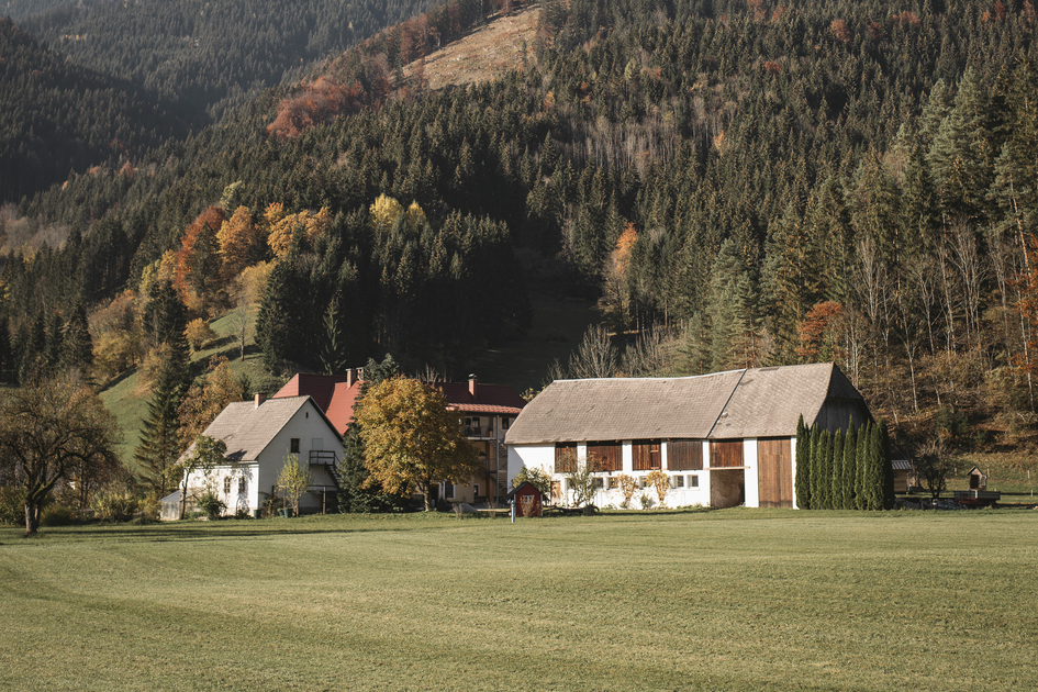 © www.stefanleitner.com