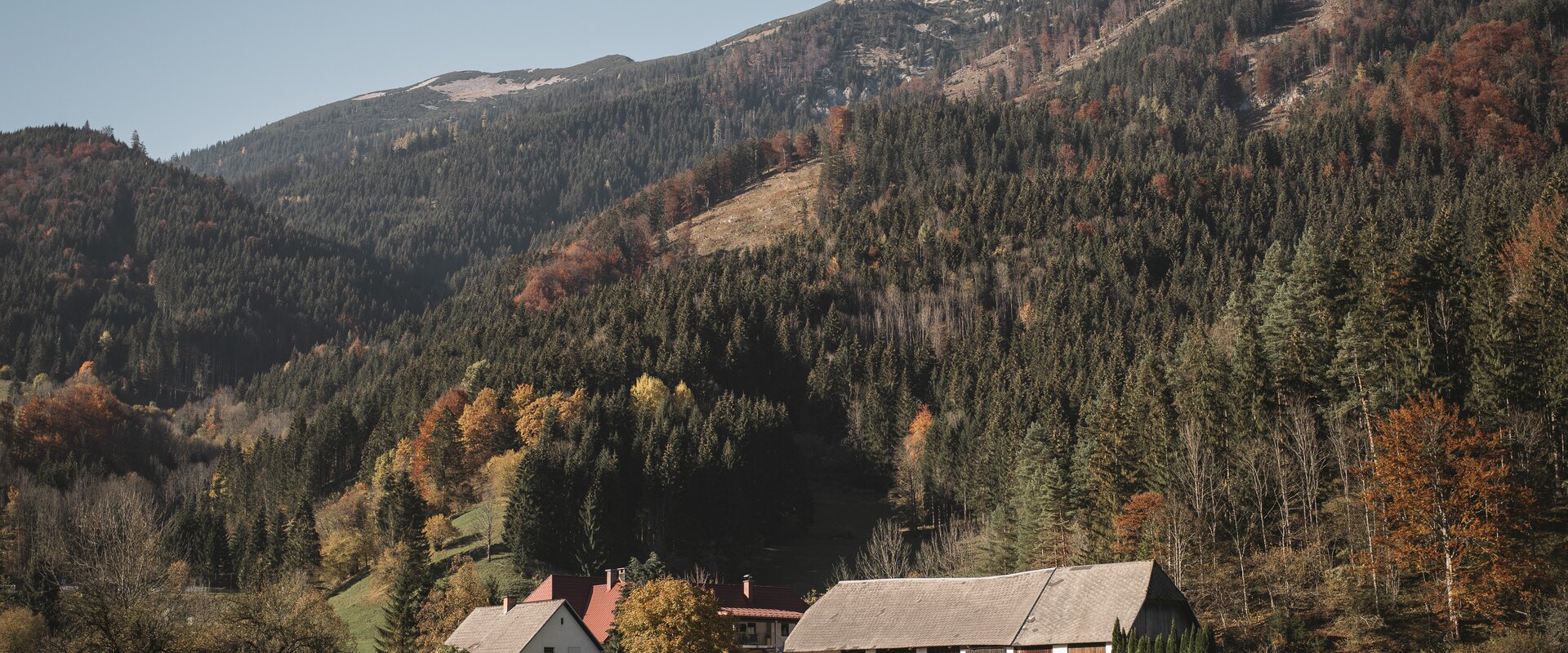 © www.stefanleitner.com