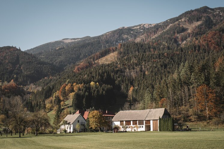 © www.stefanleitner.com