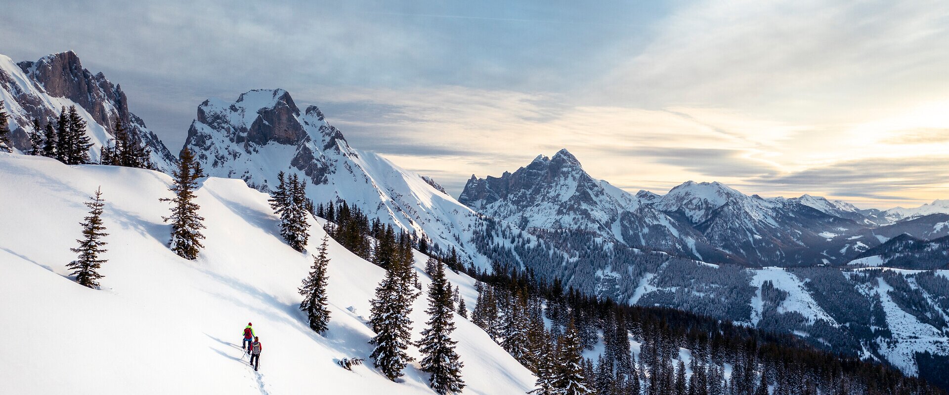 Winter 2019_c-Stefan Leitner_Gesaeuse_4 |  