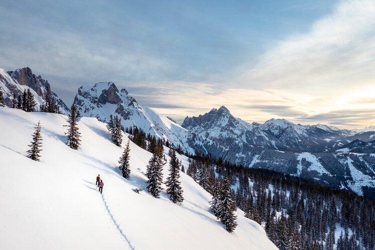 Winter 2019_c-Stefan Leitner_Gesaeuse_4 |  