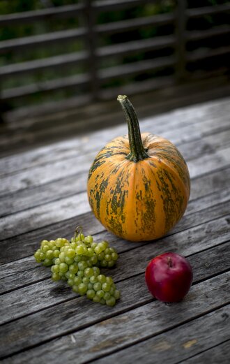 Culinary Styria: grapes, apple, pumpkin  | © Steiermark Tourismus | Tom Lamm