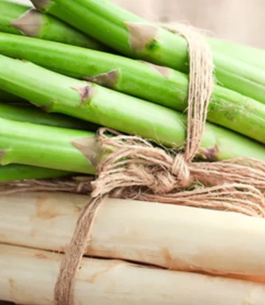 Frischer Spargel  | © Steirerspargel | Hofladen Brugner Bad Blumau 