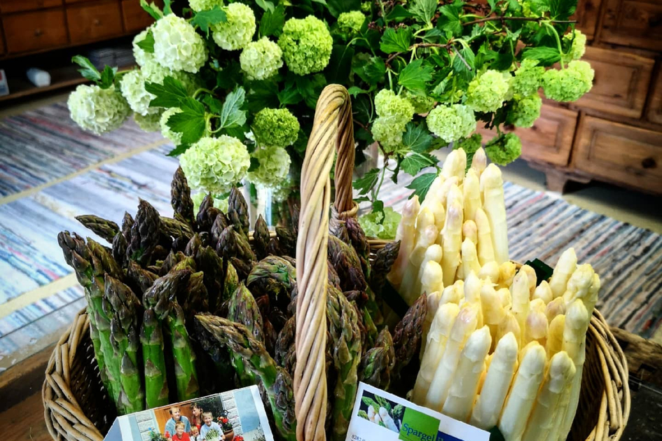 Spargel ist eine köstliche saisonale Abwechslung am Speiseplan | © Steirerspargel | Hofladen Brugner Bad Blumau 