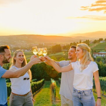 Sonne Sommer Wein Freunde Pärchen Genuss Anstoßen Freude Urlaub Zeit