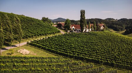 Weingut Hutter in Feldbach | © Thermen- & Vulkanland | Matthew Nelson