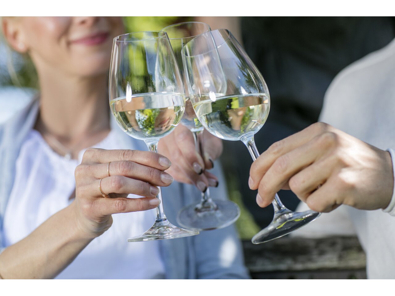 Wein Geselligkeit Weinland Vulkanland Winzer Anstoßen Genuss