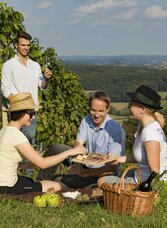 Picknick Freunde Freude Zeit Weingarten Sommer Frühling Wein Jause Picknickkorb Verkostung