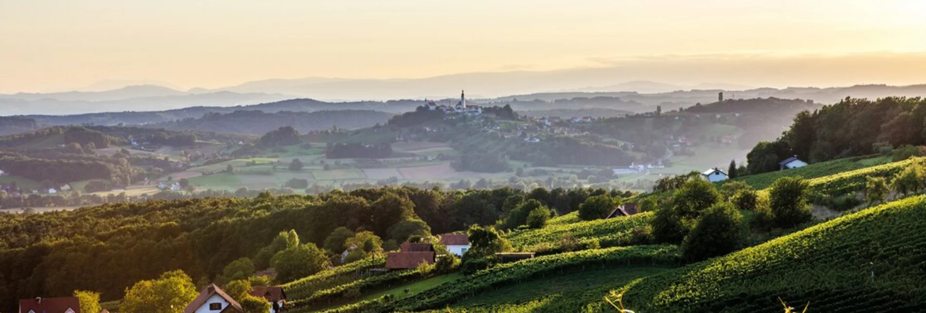 View of the landscape of the Straden wine region | © Winzer Vulkanland I Ulrike Korntheuer