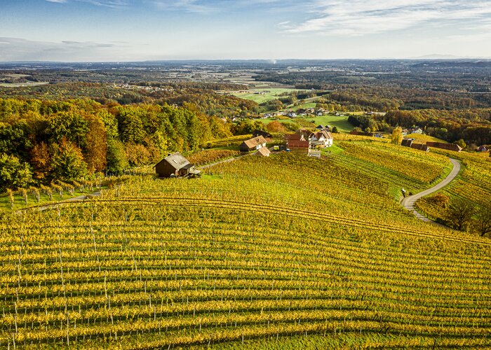 Weingärten Klöch im goldenen Herbst | © Thermen- & Vulkanland  | Pixelmaker