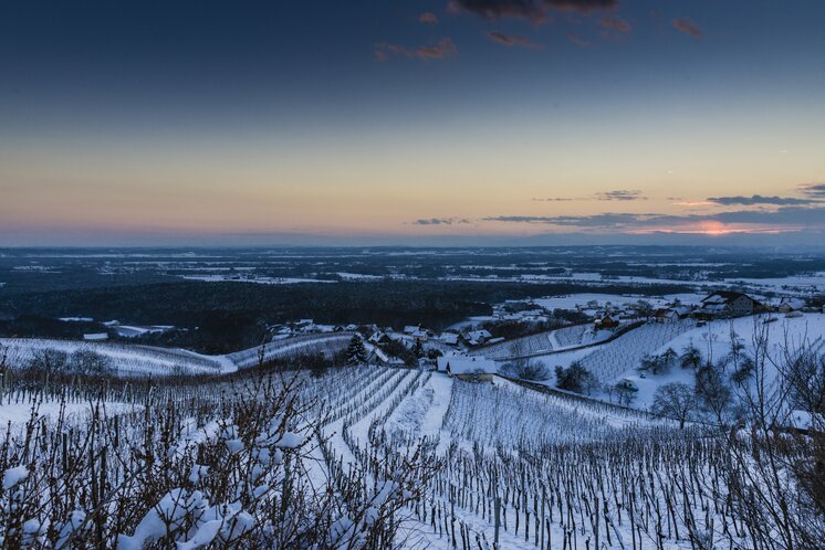 Snow covered vineyards in Bad Radkersburg | © Thermen- & Vulkanland | pixelmaker.at | pixelmaker.at