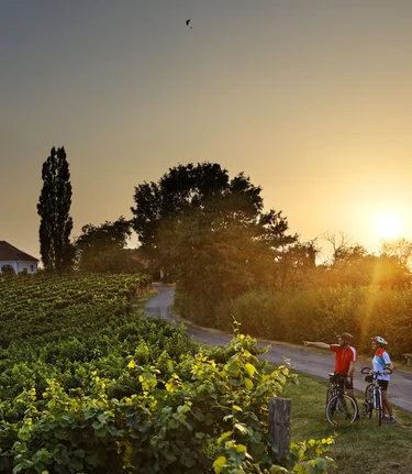 Weinland Steiermark Radtour | © Thermen- & Vulkanland | Bernhard Bergmann