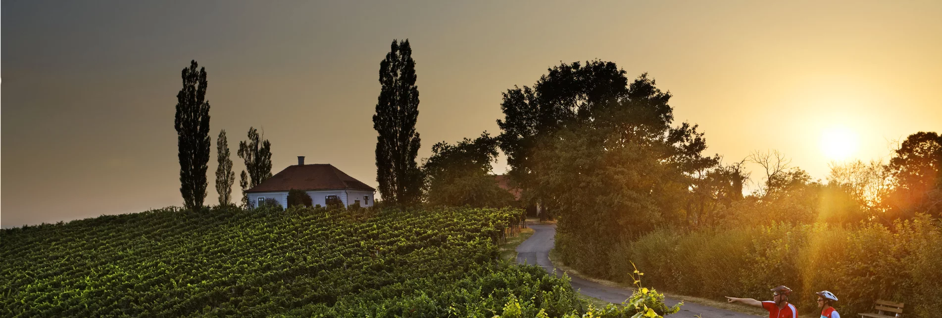 Wine country Styria bike tour | © Thermen- & Vulkanland Steiermark | Bernhard Bergmann