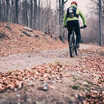 Herbst Radfahren Wald Weg Bewegung Natur Landschaft 