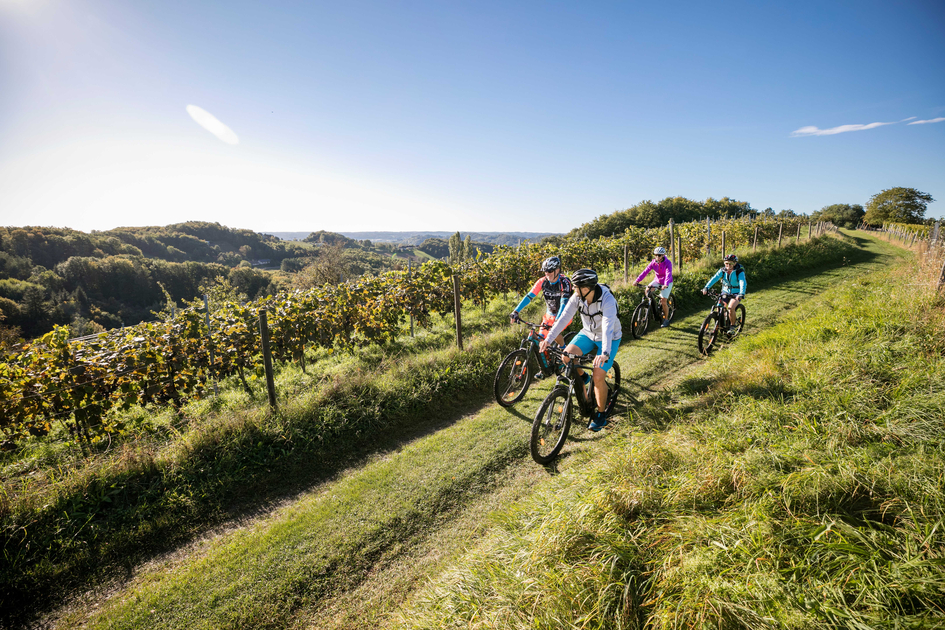 Radfahren zwischen Weinbergen und Feldern | © Thermen- & Vulkanland | Harald Eisenberger