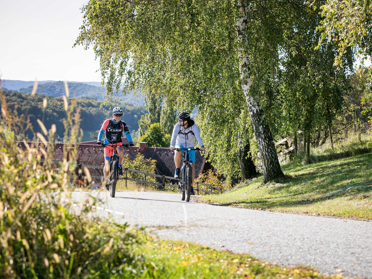 Biken Radfahren Hügellandschaft Weinberge Natur Steiermark Hügel Freue Sport Bewegung Motivation Landschaft Natur 