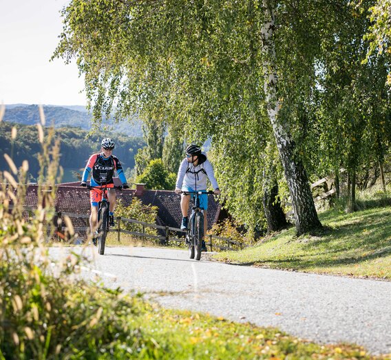 Bergauf, bergab für sportlich Ambitionierte | © Thermen- & Vulkanland | Harald Eisenberger