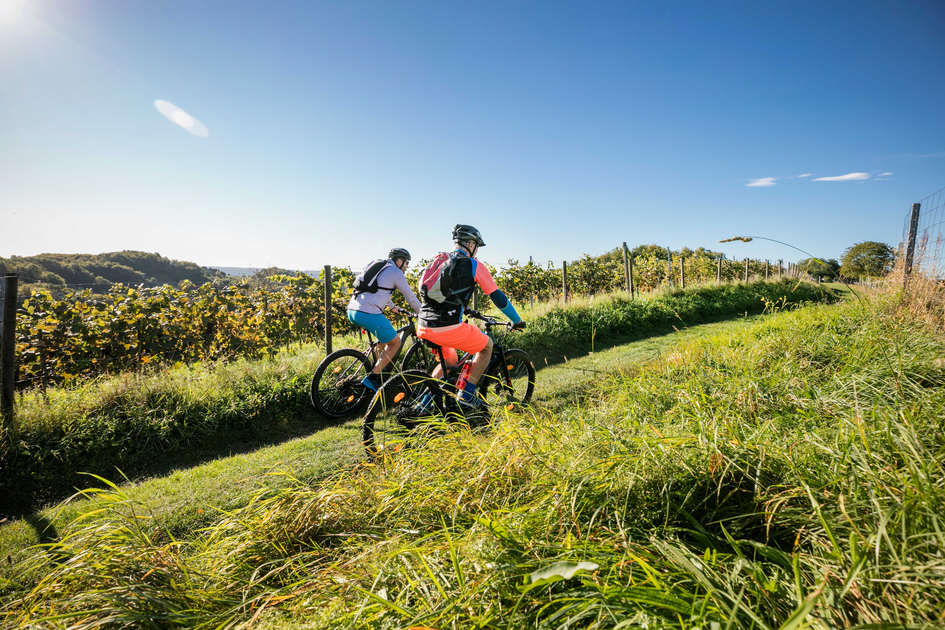 Biken entlang der Weingärten | © Thermen- & Vulkanland | Harald Eisenberger