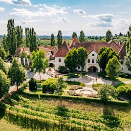 Weinschloss Thaller, umgeben von Weinreben und grüner Hügellandschaft im Thermen- & Vulkanland im Südosten der Steiermark.