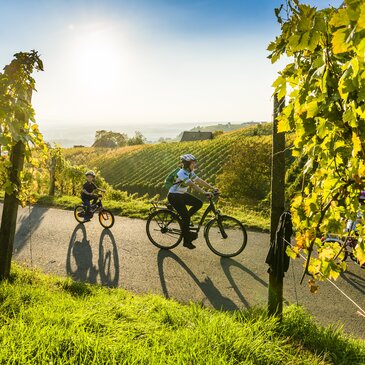 Fahrradtour Weinberge Weingarten Sonne Sommer Frühling Landschaft Natur Bewegung