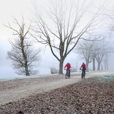 Winter Radeln Südosten Klima Radfahren Biken Bewegung Landschaft Natur 