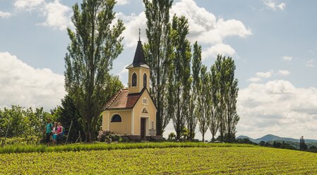 Wandern im Thermen- & Vulkanland Steiermark | © Thermen- & Vulkanland | Bernhard Bergmann