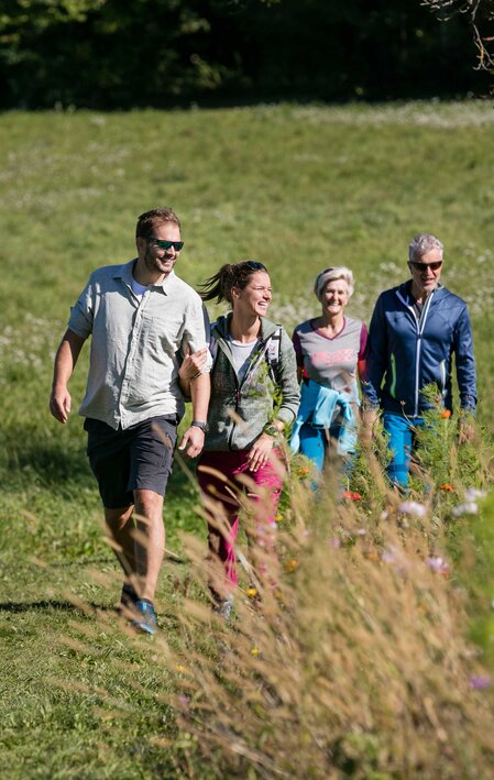 Wandern durch die saftigen Wiesen | © Thermen- & Vulkanland | Harald Eisenberger