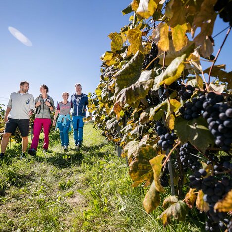 Familienwanderung durch die steirischen Weinberge | © Thermen- & Vulkanland | Harald Eisenberger