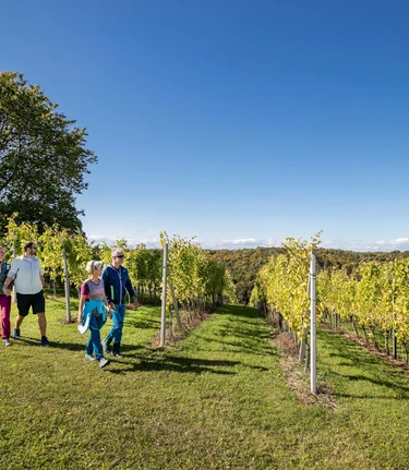 Wanderungen durch die steirischen Weinberge | © Thermen- & Vulkanland | Harald Eisenberger