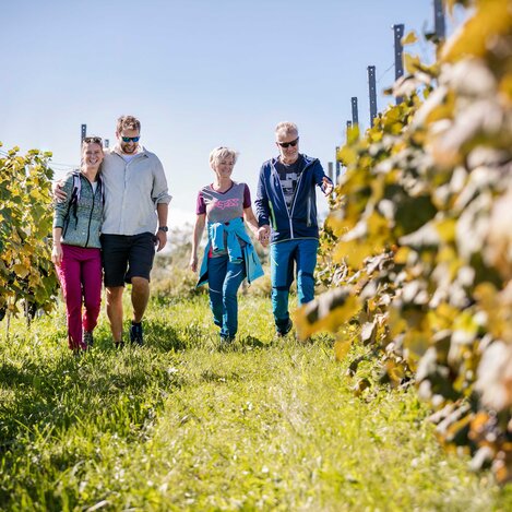 Genusswandern im Südosten der Steiermark | © Thermen- & Vulkanland | Harald Eisenberger