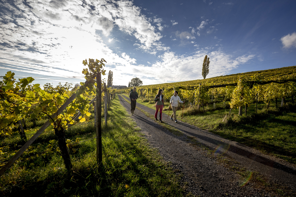 Wandern in Klöch | © STG | Tom Lamm