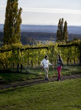Two ladies hike along the hiking route from glacier to wine in Klöch in the Thermen- & Vulkanland region in Styria
