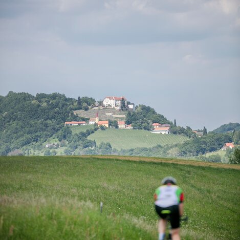 Auf dem Rad nach Schloss Kapfenstein an der Schlössestraße | © Thermen- & Vulkanland | Harald Eisenberger
