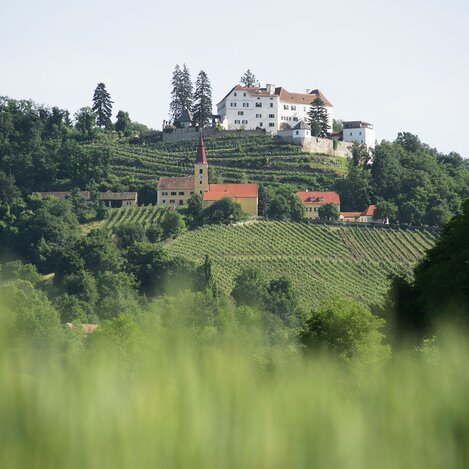 Schloss Kapfenstein umgeben von Weinstöcken des Weingutes Winkler-Hermaden | © Thermen- & Vulkanland | Harald Eisenberger