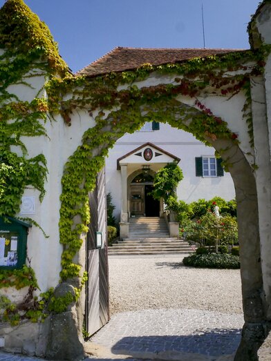 Weinkeller im Weingut Schloss Kapfenstein | © STG | Manfred Polansky