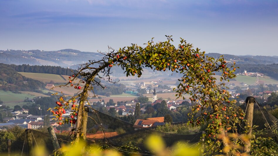 Herbst im Thermen- & Vulkanland Steiermark