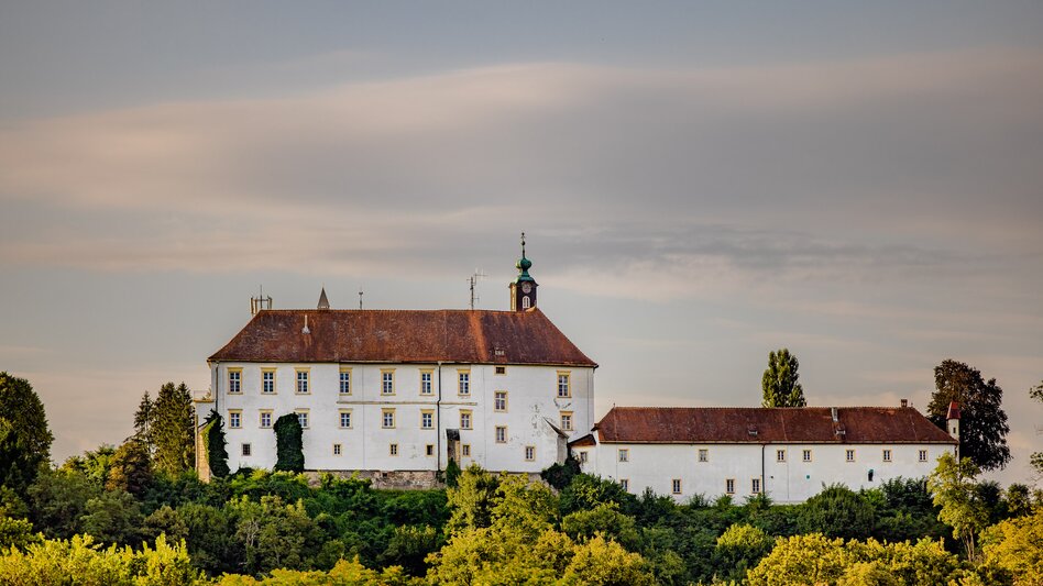 Schloss Oberradkersburg in Bad Radkersburg in der Südoststeiermark mit weißer Fassade, rotem Ziegeldach und Turm, eingebettet in eine grüne Landschaft.