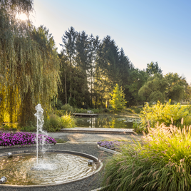 Gartenlandschaft mit Teich in Bad Waltersdorf