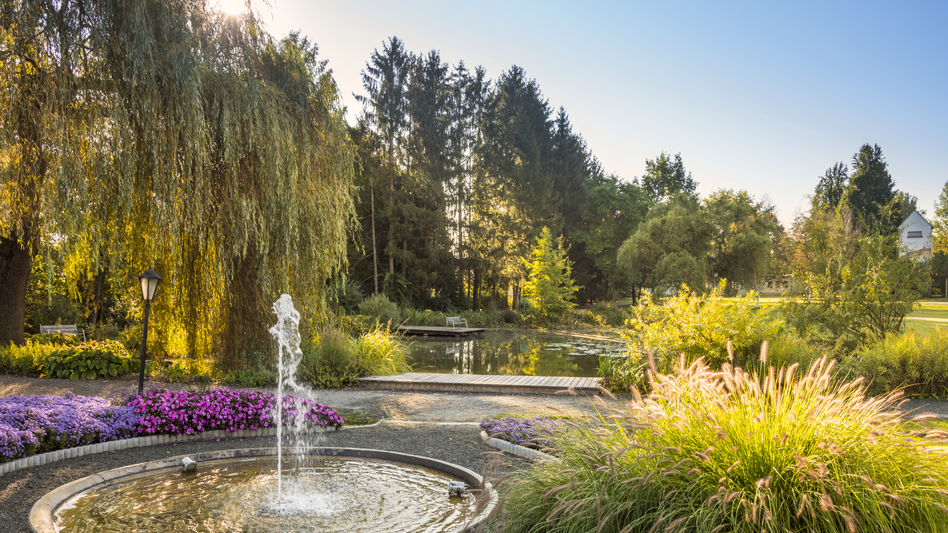 Gartenlandschaft mit Teich in Bad Waltersdorf